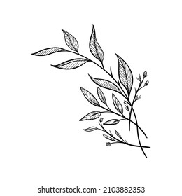 branches leaves flora line illustration vector