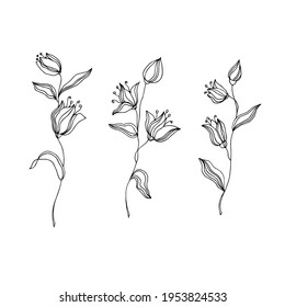 Branches with leaves and flowers. Linear drawing, vector illustration of tropical plants.