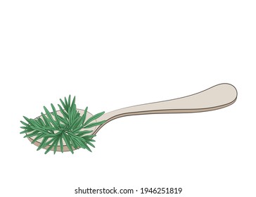 Branches and leaves of fresh rosemary on a spoon. There is free space for text. Color image. Close-up. Element for design. Vector illustration.