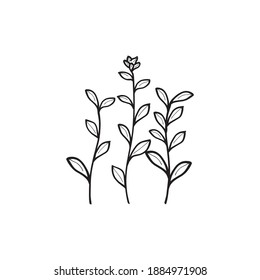 branches and leaves hand drawn art vector isolated on white