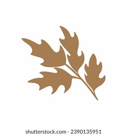 branches with leaves. hand drawn of branch and leaf. hand drawn leaf illustration. leaf vector element.