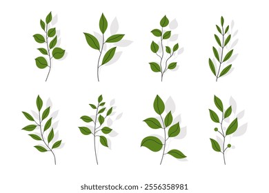 Branches with Leaves in Hand Drawn Flat Style. Branches of herbs isolated on white background. Botanical plants with leaves. Simple black ink greenery