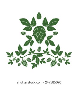 Branches with leaves and hop cones. vector illustration.