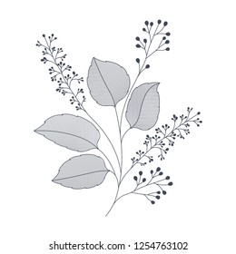 branches with leaves isolated icon