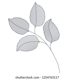 branches with leaves isolated icon