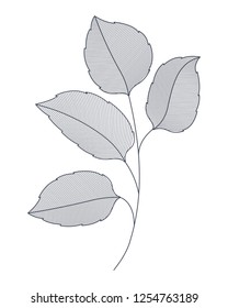 branches with leaves isolated icon