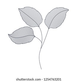 branches with leaves isolated icon