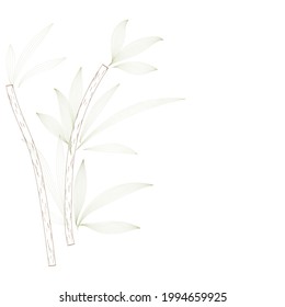 branches leaves isolated on white, vector background