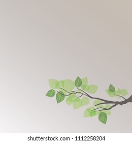 Branches and Leaves On The Rough Surface 