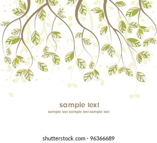 branches with leaves on white background