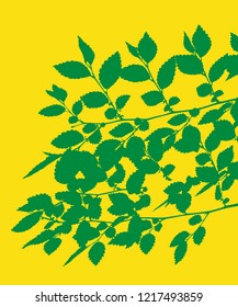 Branches with leaves on yellow background.