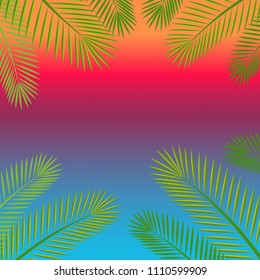 branches and leaves of palm tree  background with space for text.