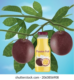 Branches And Leaves With Passionfruit.Passion Fruit Water Bottle.illustration Vector