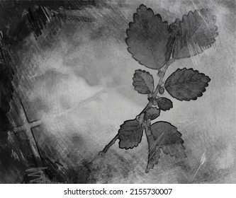branches with leaves scratched old background