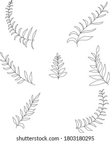 Ramas con hojas. Establecer. Dibujado a mano. Elementos aislados sobre fondo blanco. Vector.