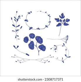 Branches and leaves silhouettes set drawing on white background