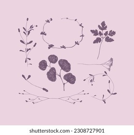 Branches and leaves silhouettes set drawing on purple background