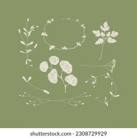 Branches and leaves silhouettes set drawing on green background