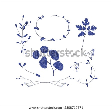 Branches and leaves silhouettes set drawing on white background