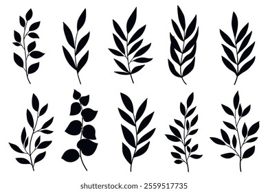 Branches and Leaves Silhouettes Set. Wild plants leaves black silhouettes isolated on white background