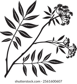 Branches and Leaves Silhouettes Set. Wild plants leaves black silhouettes isolated on white background