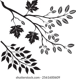 Branches and Leaves Silhouettes Set. Wild plants leaves black silhouettes isolated on white background