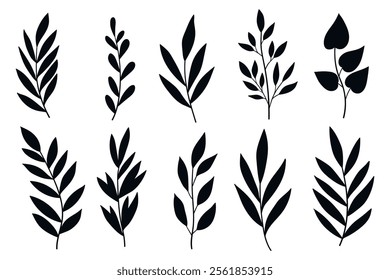 Branches and Leaves Silhouettes Set. Wild plants leaves black silhouettes isolated on white background