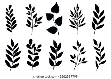 Branches and Leaves Silhouettes Set. Wild plants leaves black silhouettes isolated on white background