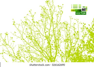 branches with leaves trace. Vector