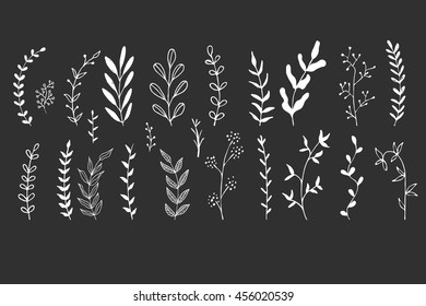 Branches with leaves. White silhouettes isolated on black background. Set of hand drawn vector decorative elements for your design. Ink illustration.