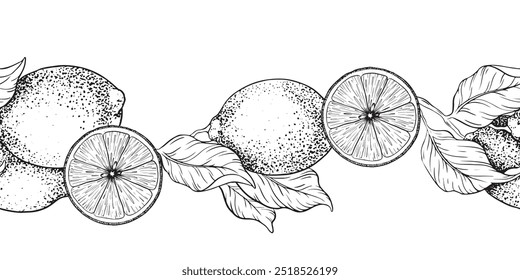 Ramos de limão, fatia de frutas, folhas. Esboço ilustração vetorial de borda sem costura de cal. Contorno de tinta preta dos citros. Mão isolada desenhada. Design para menu, pacote, cosmético, têxtil, cartões