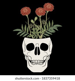 Branches of marigold flower in human skull. Creative concept. Dia de los Muertos. Mexican Day of the Dead.