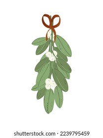 Branches of mistletoe for the pagan holiday of Yule.  Christmas mistletoe.