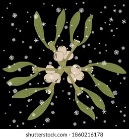 Branches of mistletoe under snowflakes. Winter Christmas ornament. Viscum album.