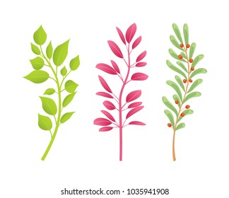 Branches of natural plants with green and red leaves. Fresh wild herbs on thin stems. Branches from trees and bushes isolated vector illustrations.