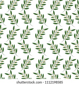 branches natural seeds botanical design background