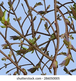 Branches with new green shoots or sprout and leaves. Seamless background