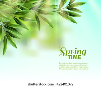 Branches of olive tree with green leaves in spring sunlight at blue sky background flat vector illustration 