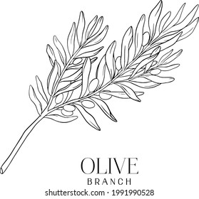 Branches of an olive tree. Vector olive tree for background, texture, wrapper pattern, frame or border.