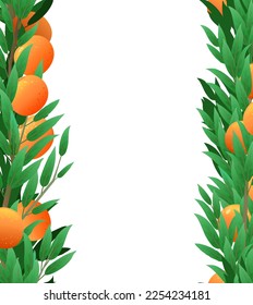 Branches orange of tree with ripe fruits in form of frame on both sides. Garden plant with edible harvest. Seamless composition. Branch with foliage and leaves. Isolated on white background. Vector