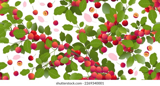 Las ramas están sobrepobladas de ciruela de cerezo con frutas maduras. Planta de jardín con cosecha comestible. Composición de patrones sin inconvenientes. Rama con follaje y hojas. Aislado sobre fondo blanco. Vector
