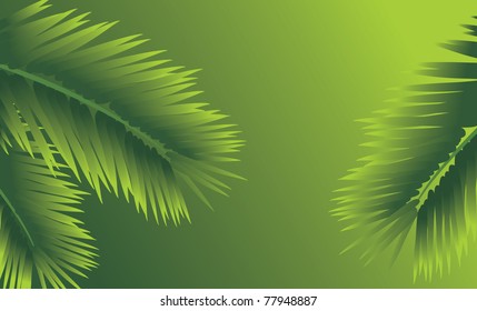 Branches of palm. Abstract background. Vector