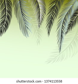 Branches of palm tree leaves. Postcard template for your design.
