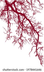branches, part of tree, abstract art, red branches in winter