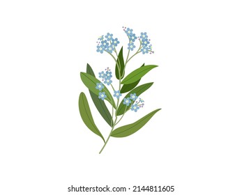 Branches of pastel bluish purple mini flowers.