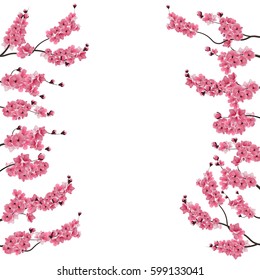 Branches with pink cherry blossoms. Buds. Sakura. From two sides. Centered advertising space, text ads. Isolated on white background. Vector illustration