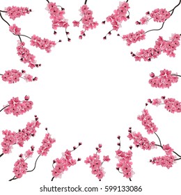 Branches with pink cherry blossoms. Buds. Sakura. Centered advertising space, text ads. Isolated on white background. Vector illustration