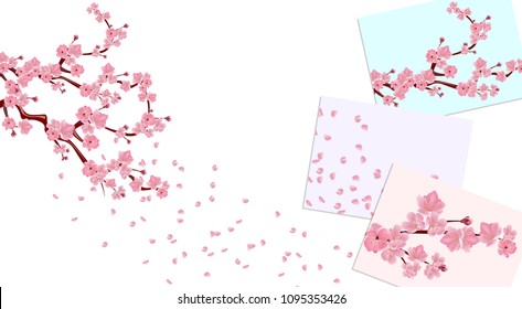 Branches with pink flowers and cherry buds. Sakura. The petals fly in the wind on white and colored backgrounds. vector illustration