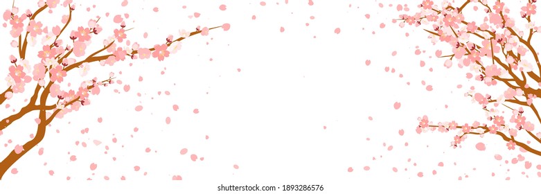Branches with pink flowers and cherry buds. Sakura. Petals flying in the wind. isolated on white background. vector illustration