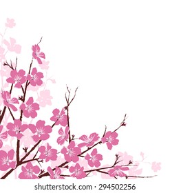 Branches with Pink Flowers Isolated on White Background